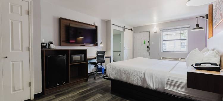 阿马里洛市中心拉昆塔温德姆酒店(La Quinta Inn by Wyndham Amarillo Mid-City)图片