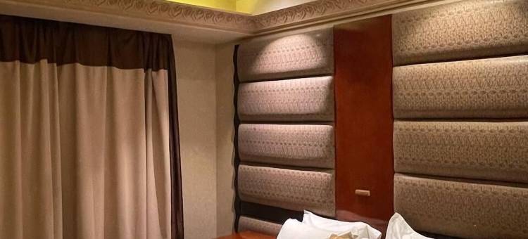 萨南酒店套房(sanam hotel swites)图片