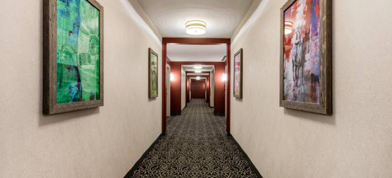 纳什维尔市中心坎布里亚套房酒店(Cambria Hotel Nashville Downtown)图片