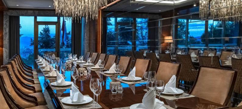 瑞享温泉水疗酒店(Mövenpick Bursa Hotel and Thermal Spa)图片