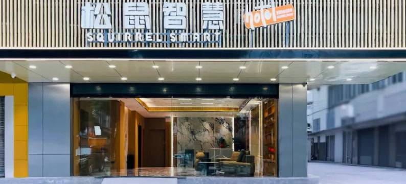 松鼠智慧酒店(佛山千灯湖南桂路地铁站店)图片