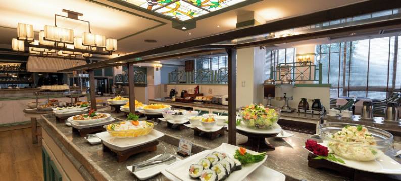 帕拉西亚酒店(Palasia Hotel)图片