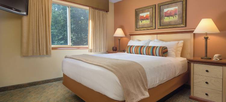 低语森林度假村(Whispering Woods Resort)图片