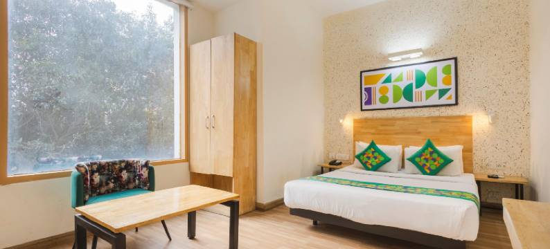 Treebo Ace Luxe图片