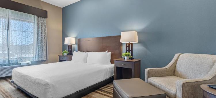 奥弗兰贝斯特韦斯特优质旅馆(Best Western Plus Overland Inn)图片