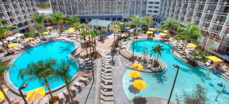 奥兰多布纳维斯塔湖喜来登度假酒店(Sheraton Orlando Lake Buena Vista Resort)图片