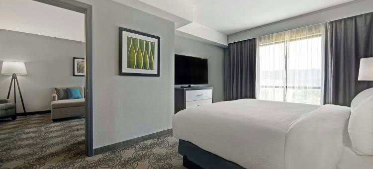 伯明翰霍姆伍德福朋喜来登酒店(Four Points by Sheraton Birmingham Homewood)图片