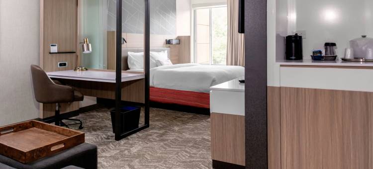 亚特兰大苏瓦尼约翰溪万豪SpringHill Suites酒店(SpringHill Suites Suwanee Johns Creek)图片