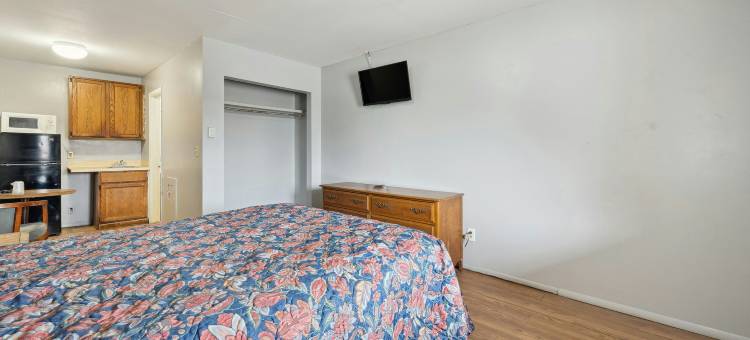 弗林特OYO汽车旅馆密歇根I-475(Flint Motel by OYO MI Near I-475)图片