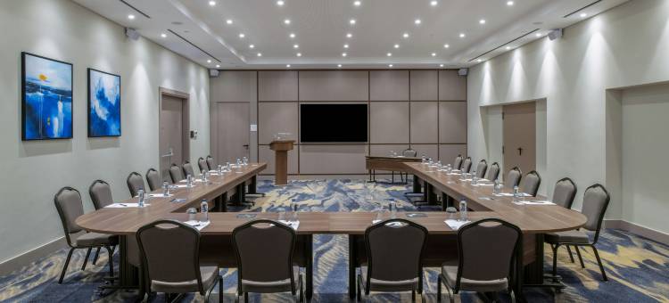 希尔顿花园酒店伊斯坦布尔彭迪克(Hilton Garden Inn Istanbul Pendik)图片