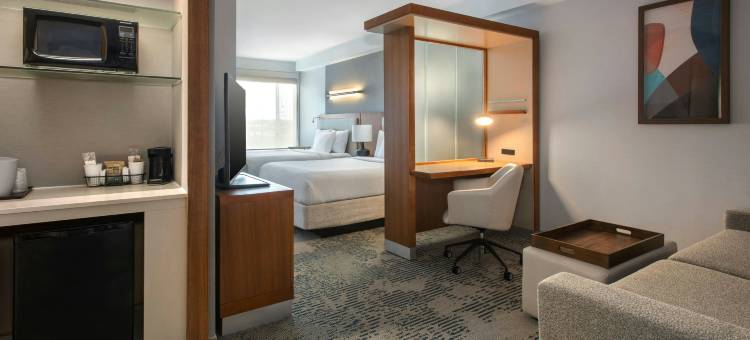 布法罗机场SpringHill Suites酒店(SpringHill Suites Buffalo Airport)图片