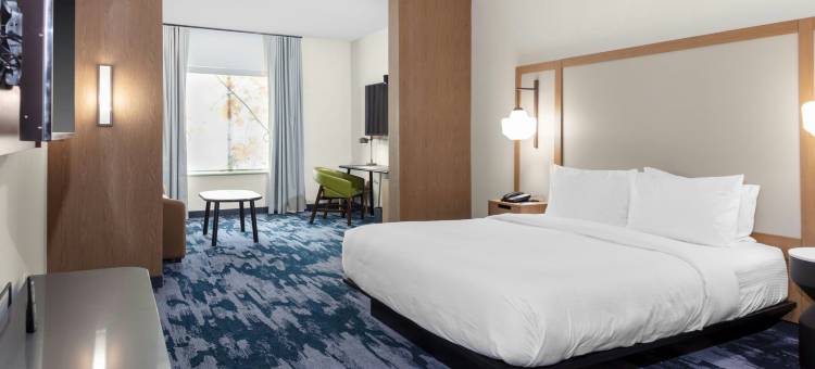 亚特兰大玛丽埃塔市万枫酒店及套房(Fairfield Inn & Suites Atlanta Marietta)图片