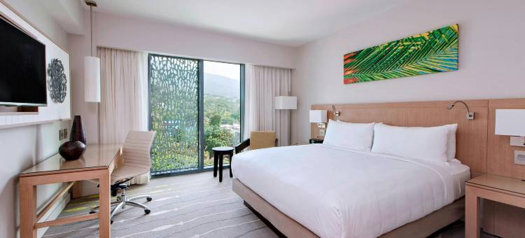 太子港万豪大酒店(Marriott Port-au-Prince Hotel)图片