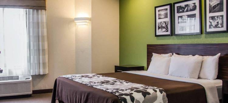 舒眠酒店-康科德市坎纳波利斯(Sleep Inn Concord - Kannapolis)图片