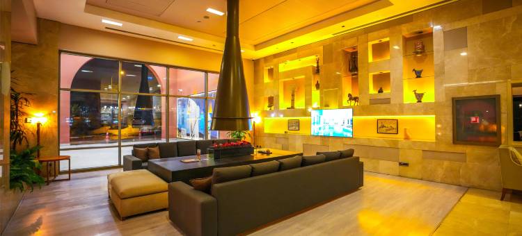 希尔顿花园桑尼乌法酒店(Hilton Garden Inn Sanliurfa)图片