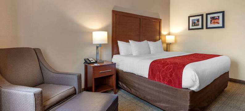 舒适套房酒店-哥伦布西希利厄德(Comfort Suites Columbus West - Hilliard)图片