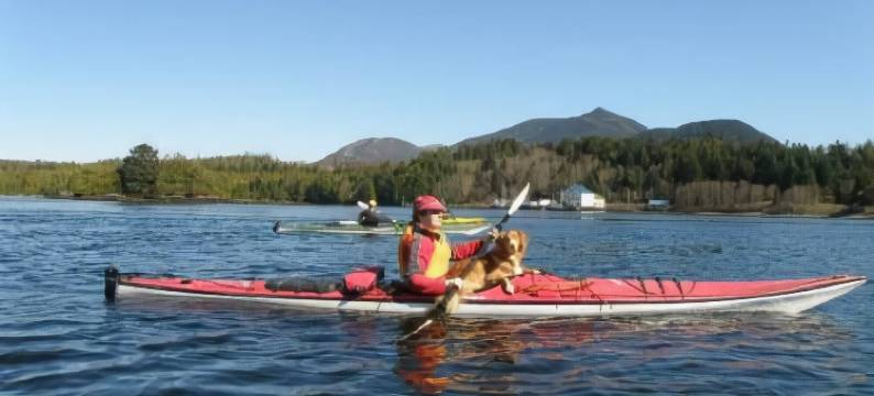 克瓦诺旅馆(Kvarno Guest House)图片