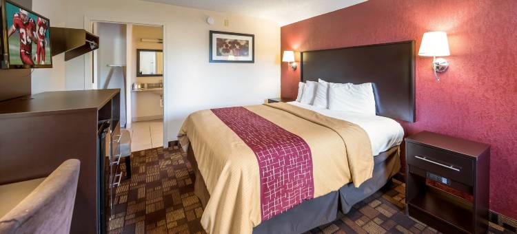 安德森红顶酒店(Red Roof Inn Anderson, IN)图片