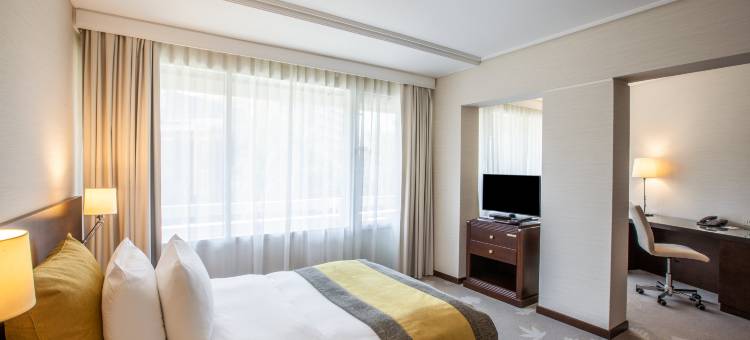Crowne Plaza 布加勒斯特(Crowne Plaza Bucharest)图片