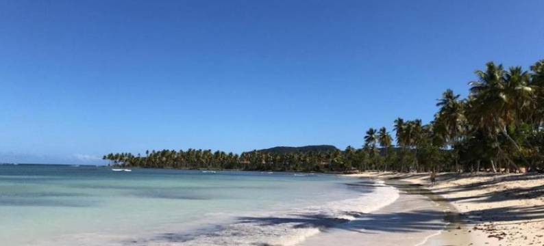 Great Palm View - Apartment 3 in Villa Coconut图片