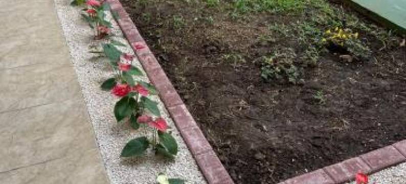 棕榈海洋俱乐部度假村(The Palms Ocean Club Resort)图片