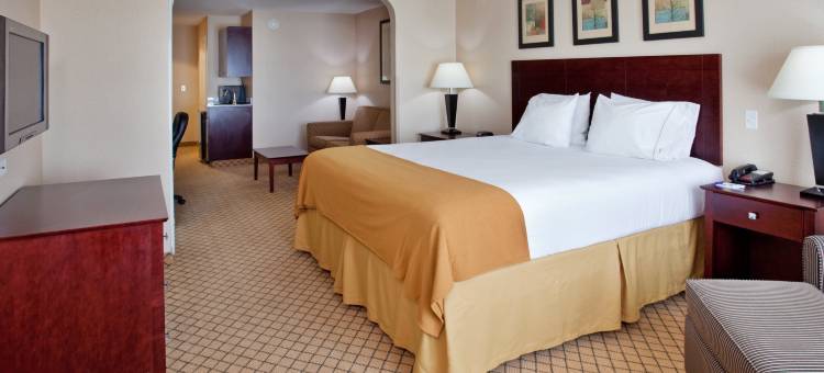 智选假日套房酒店威奇托机场 by IHG(Holiday Inn Express & Suites Wichita Airport by IHG)图片