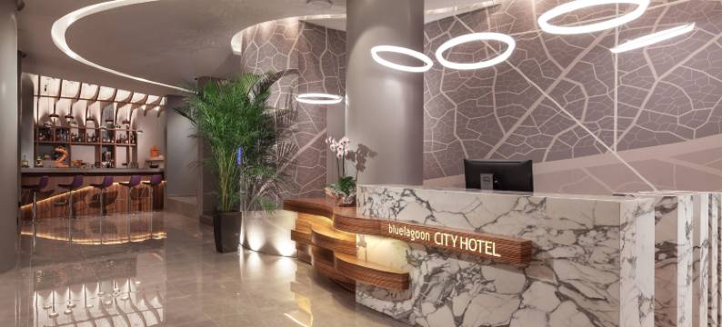 蓝礁湖城市酒店(Blue Lagoon City Hotel)图片