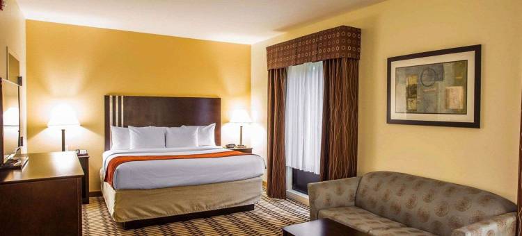 康福特套房辛普森维尔 - 格林维尔(Comfort Suites Simpsonville - Greenville)图片