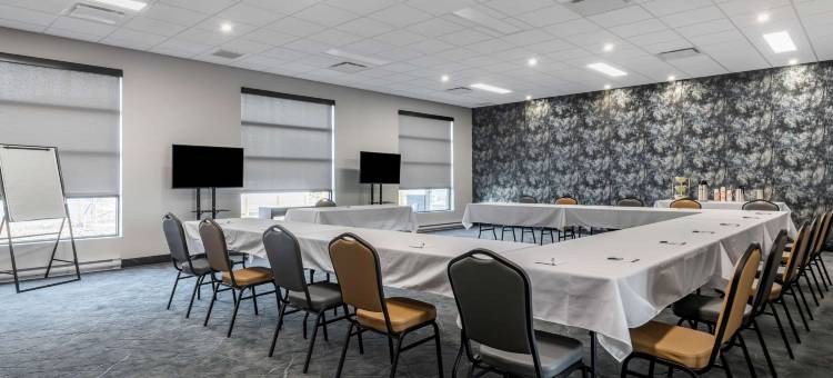 品质酒店及会议中心(Quality Hotel & Conference Centre)图片