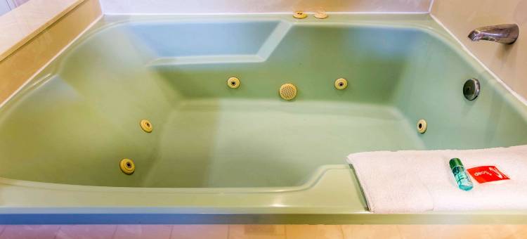 里布-科罗纳伊克诺套房酒店(Econo Lodge Inn & Suites Riverside - Corona)图片