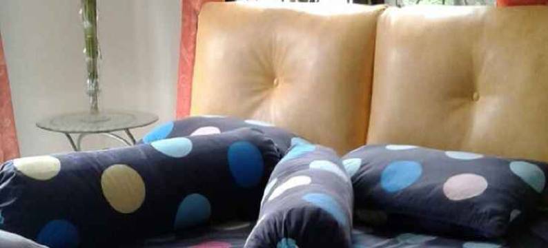 Villa Kota Bunga Dahlia图片