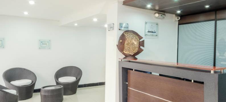 拉菲拉摄政套房酒店(Hotel Regency Suites la Feria)图片