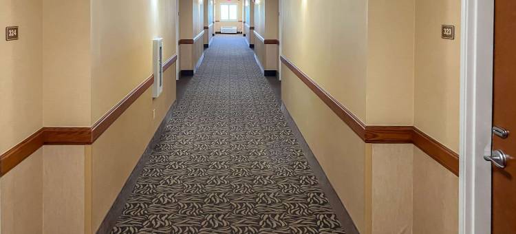 撒切尔舒适套房酒店(Comfort Inn & Suites Thatcher - Safford)图片