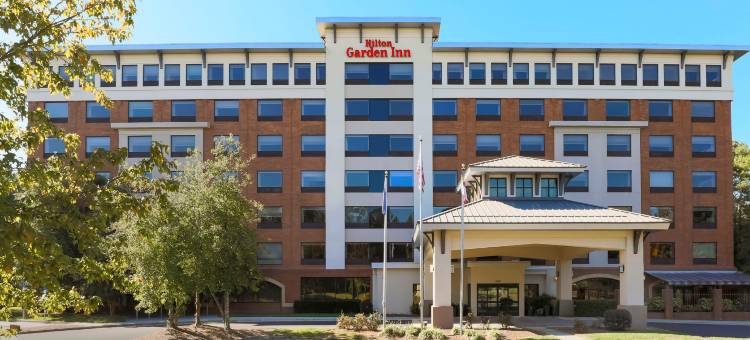 罗利达勒姆三角研究园希尔顿花园酒店(Hilton Garden Inn Raleigh-Durham/Research Triangle Park)图片