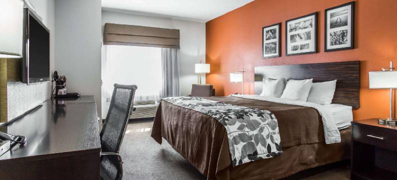 拉伯克舒眠套房酒店(Sleep Inn & Suites)图片