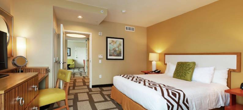 休斯顿市中心希尔顿安泊酒店(Embassy Suites by Hilton Houston Downtown)图片