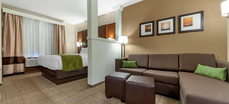 舒适套房酒店(Comfort Suites)图片