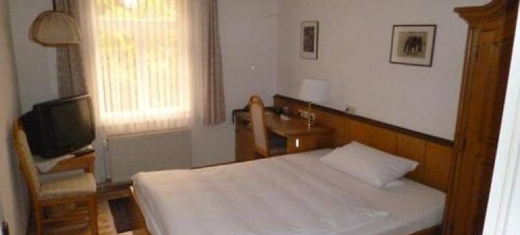 莱塞维茨伽藤(Leisewitz' Garten)图片