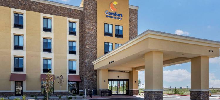 舒适套房酒店(Comfort Inn & Suites Bennett)图片