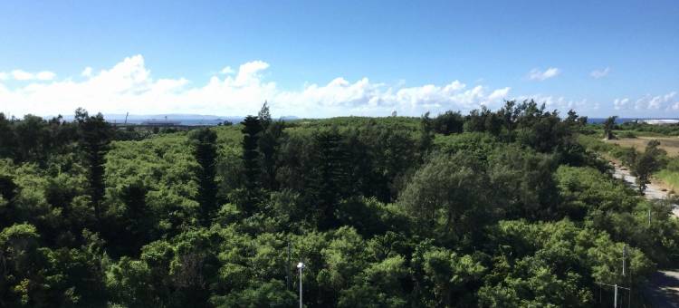 Mr.KINJO VIOLETTE 空港前＜那覇市安次嶺＞(Mr.KINJO VIOLETTE Airport Front)图片