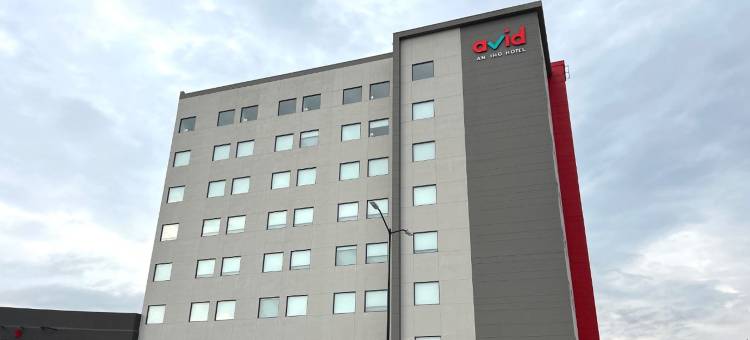 IHG 旗下 Avid 酒店 瓜达拉哈拉 瓦拉塔大道 PTE(Avid Hotel Guadalajara AV Vallarta Pte)图片