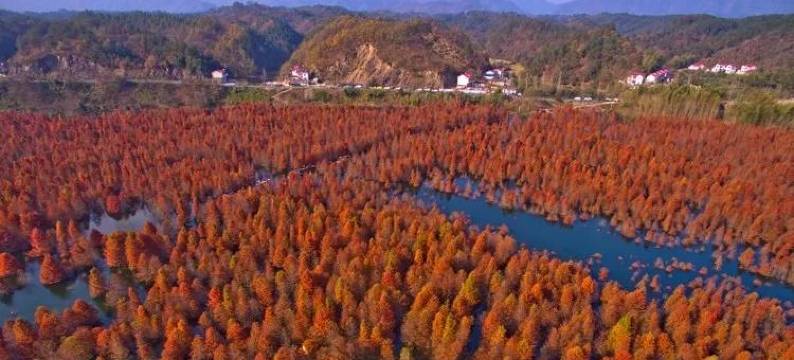 宁国聚龙湾农庄(西津野渡店)图片