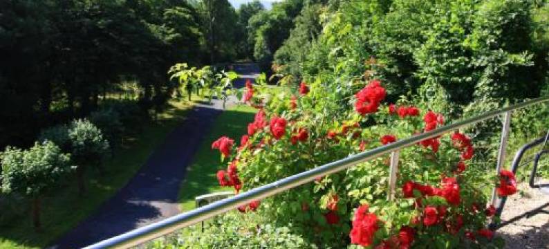 赛格布里克酒店及餐厅(Hotel Restaurant Siegblick)图片