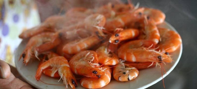 临海50米赶海拾贝坐船游泳自家渔家特色民宿(东区二街分店)图片