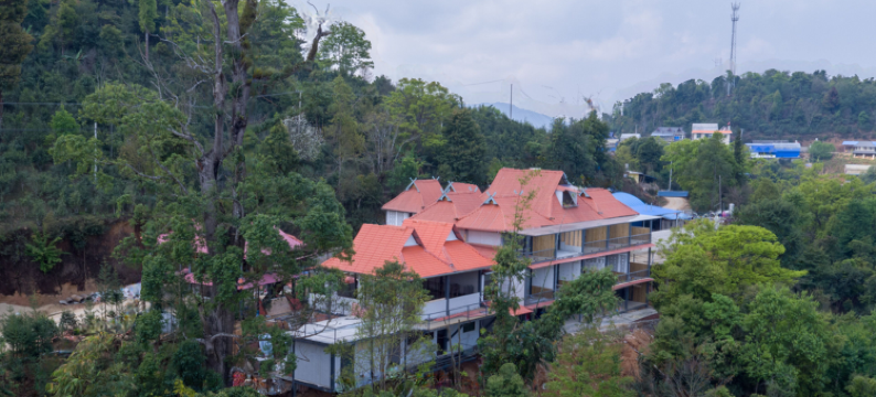 勐海龙巴庄园图片