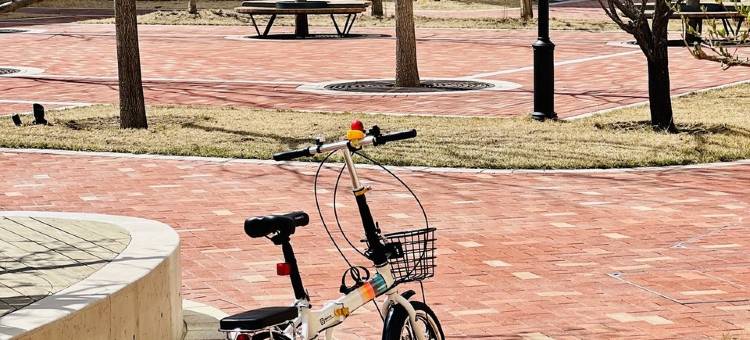 悄悄盛开公寓(香海湾路分店)图片