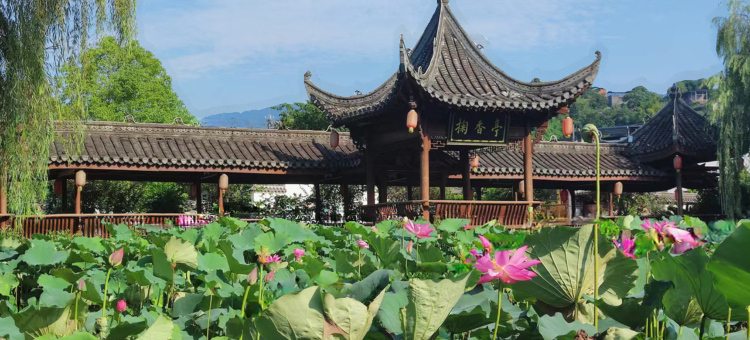 素曼庄园图片