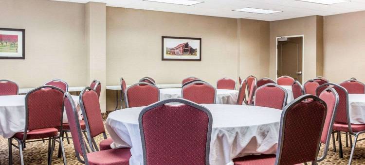 亚特兰大南部莫罗舒适套房酒店(Comfort Suites Morrow- Atlanta South)图片