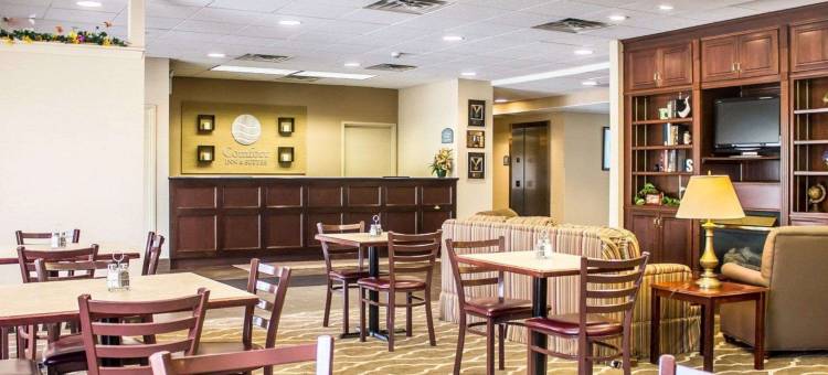 舒适套房酒店(Comfort Inn & Suites)图片