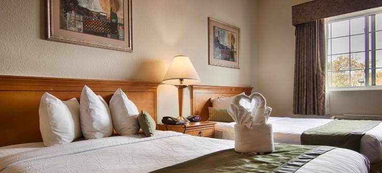 纽波特纽斯贝斯特韦斯特优质套房酒店(Best Western Plus Newport News Inn  Suites)图片